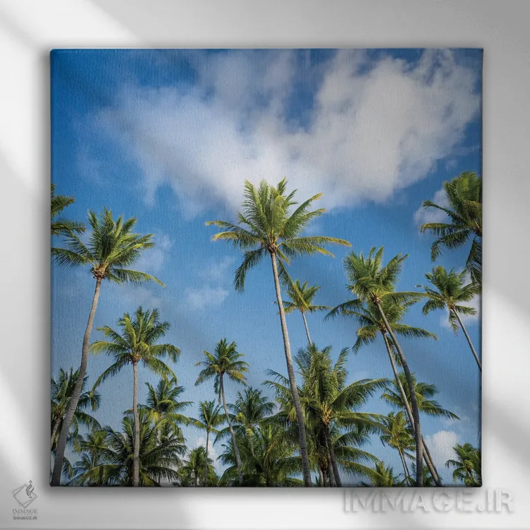 تابلو دکوراتیو درختان نخل در روزی آفتابی اثر یان بکه - نمای روبهرو روی دیوار