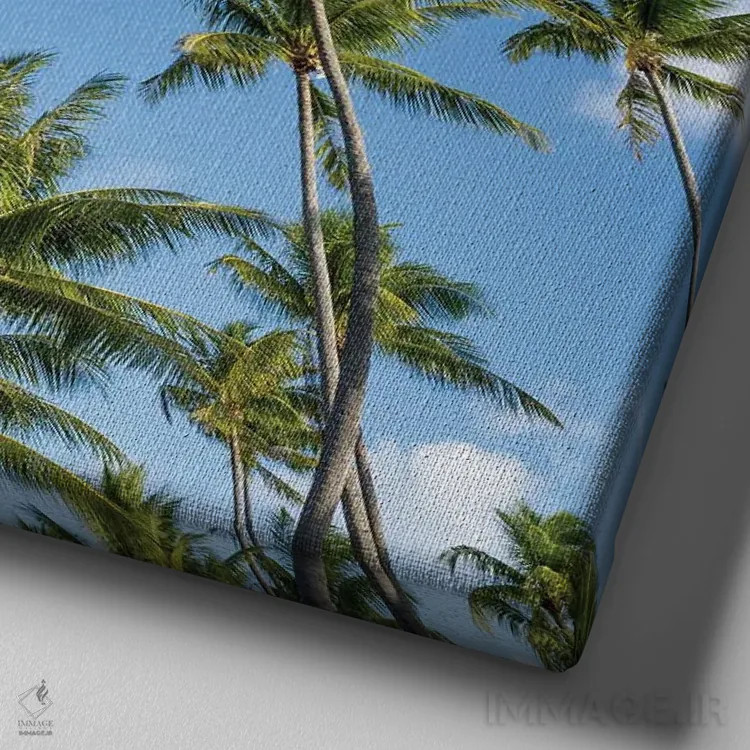 تابلو دکوراتیو درختان نخل در روزی آفتابی اثر یان بکه - نمای نزدیک بافت بوم