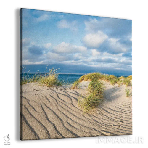 تابلو دکوراتیو تپه های شنی با علف ساحلی نزدیک به دریا اثر یان بکه - نمای پرسپکتیو محصول