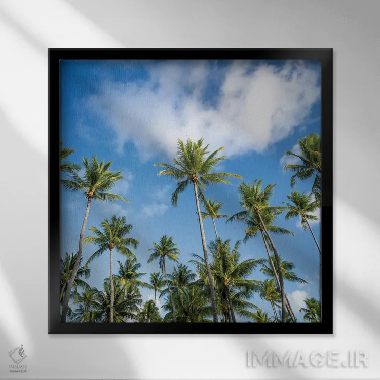 تابلو دکوراتیو درختان نخل در روزی آفتابی اثر یان بکه - نمای قابدار مشکی