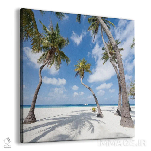 تابلو دکوراتیو درختان نخل در جزیره گرمسیری در مالدیو اثر یان بکه - نمای پرسپکتیو محصول