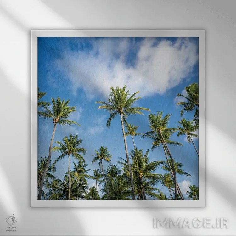 تابلو دکوراتیو درختان نخل در روزی آفتابی اثر یان بکه - نمای قابدار سفید