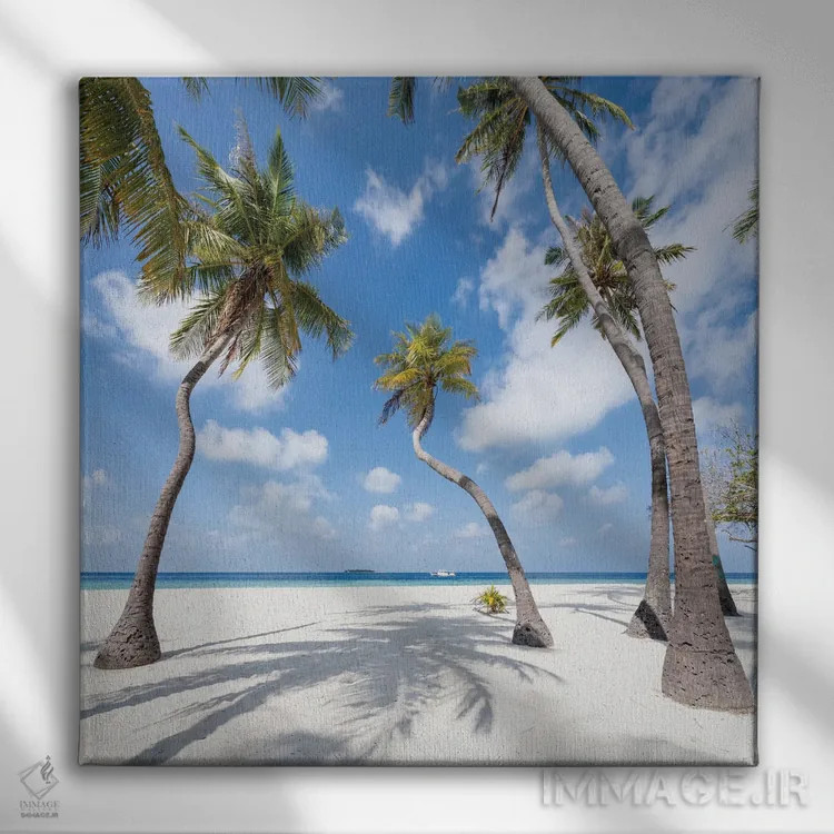 تابلو دکوراتیو درختان نخل در جزیره گرمسیری در مالدیو اثر یان بکه - نمای روبهرو روی دیوار