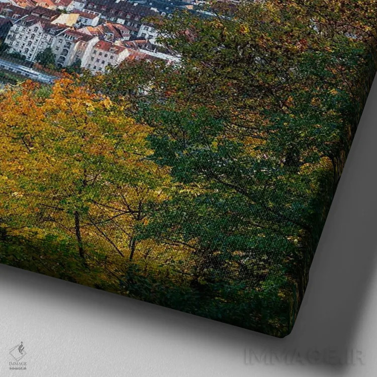 تابلو دکوراتیو Baden-Württemberg, Germany,قلعه هایدلبرگ در فصل پاییز، بادن-وور… اثر یان بکه - نمای نزدیک بافت بوم