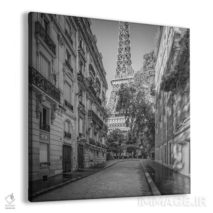 تابلو دکوراتیو France, Black And White,برج ایفل در پاریس، فرانسه، سیاه و سفید اثر یان بکه - نمای پرسپکتیو محصول