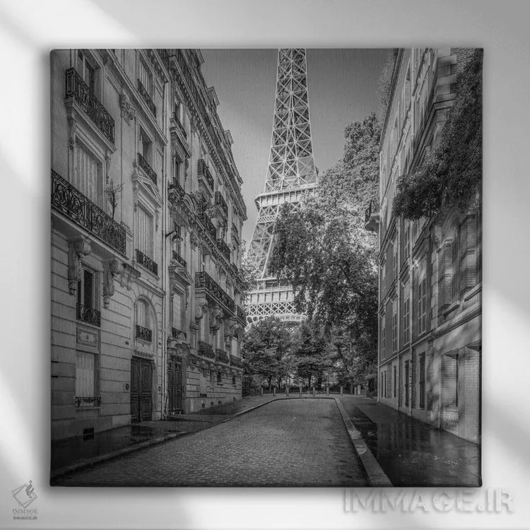 تابلو دکوراتیو France, Black And White,برج ایفل در پاریس، فرانسه، سیاه و سفید اثر یان بکه - نمای روبهرو روی دیوار