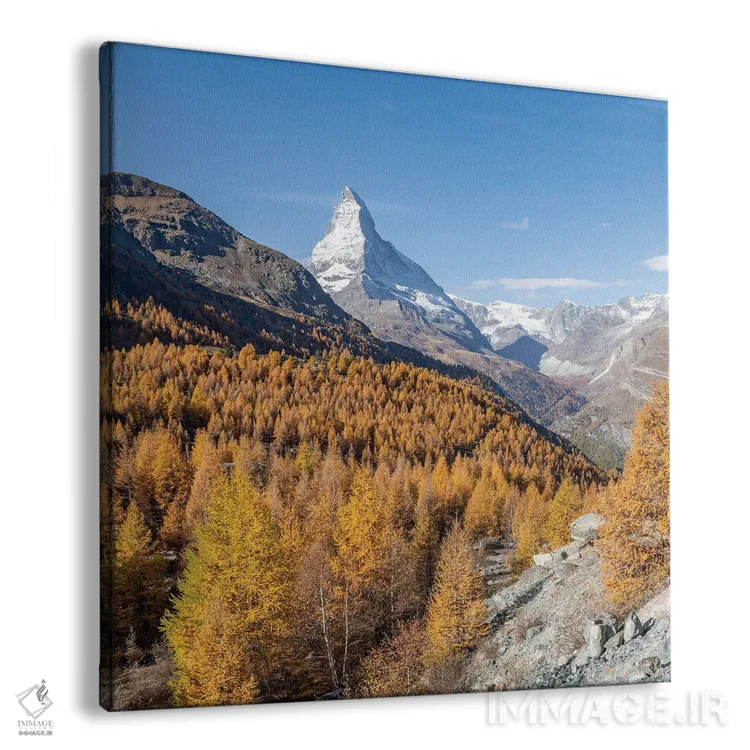 تابلو دکوراتیو Swiss Alps, Zermatt, Switzerland,درختان سرخدار طلایی با کوه مات… اثر یان بکه - نمای پرسپکتیو محصول