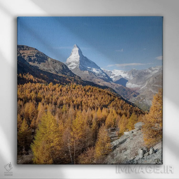 تابلو دکوراتیو Swiss Alps, Zermatt, Switzerland,درختان سرخدار طلایی با کوه مات… اثر یان بکه - نمای روبهرو روی دیوار