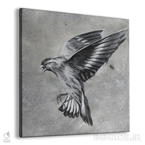 تابلو دکوراتیو حمله پرنده اثر جونیر ناوارو - نمای پرسپکتیو محصول