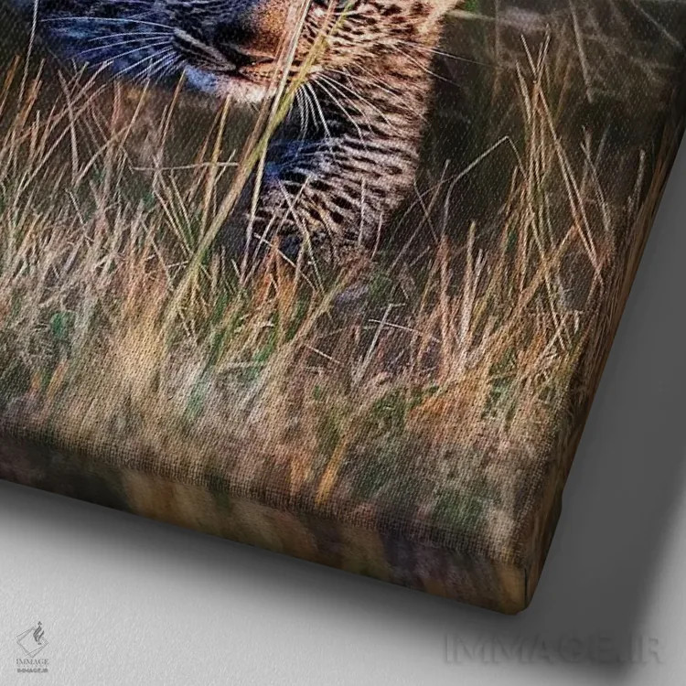 تابلو دکوراتیو Maasai Mara National Reserve, Kenya,بچه پلنگ، ذخیره گاه… اثر جو رستوشیا سوم - نمای نزدیک بافت بوم