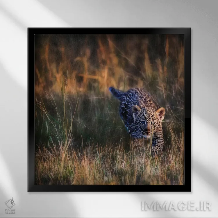 تابلو دکوراتیو Maasai Mara National Reserve, Kenya,بچه پلنگ، ذخیره گاه… اثر جو رستوشیا سوم - نمای قابدار مشکی