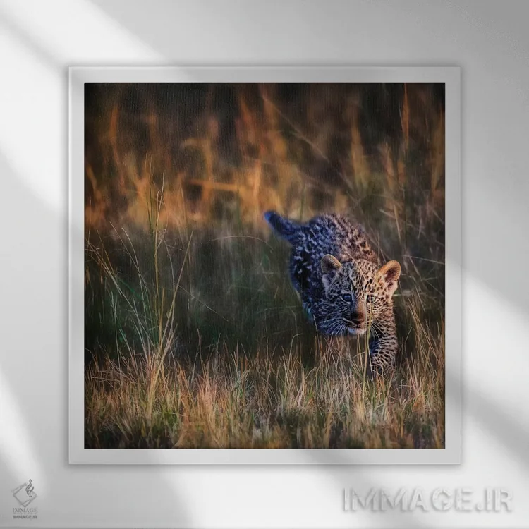 تابلو دکوراتیو Maasai Mara National Reserve, Kenya,بچه پلنگ، ذخیره گاه… اثر جو رستوشیا سوم - نمای قابدار سفید