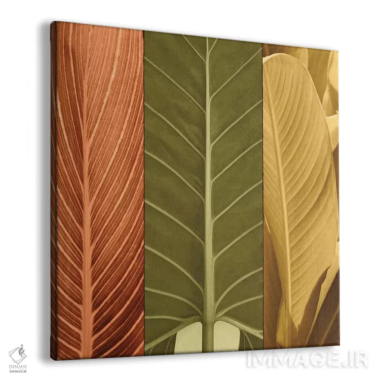 تابلو دکوراتیو سه گانه استوایی I اثر جان سبا - نمای پرسپکتیو محصول