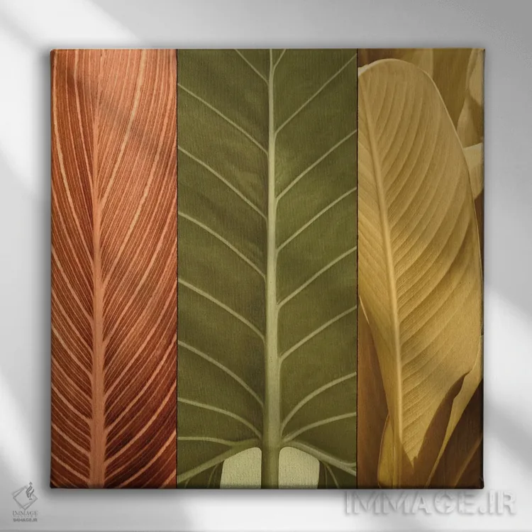 تابلو دکوراتیو سه گانه استوایی I اثر جان سبا - نمای روبهرو روی دیوار