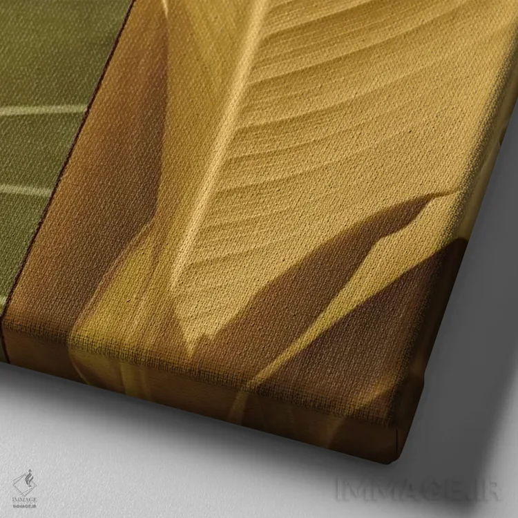 تابلو دکوراتیو سه گانه استوایی I اثر جان سبا - نمای نزدیک بافت بوم