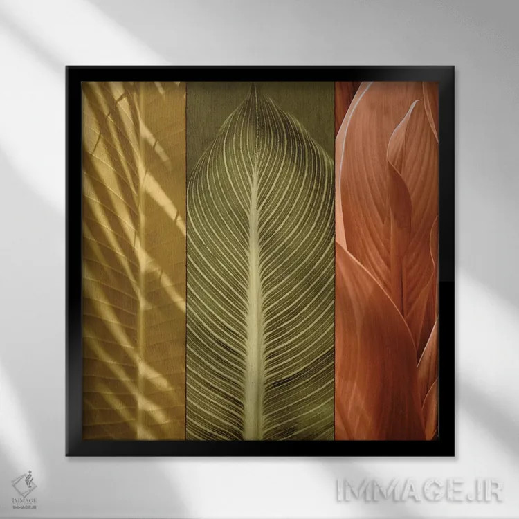 تابلو دکوراتیو سه گانه استوایی II اثر جان سبا - نمای قابدار مشکی