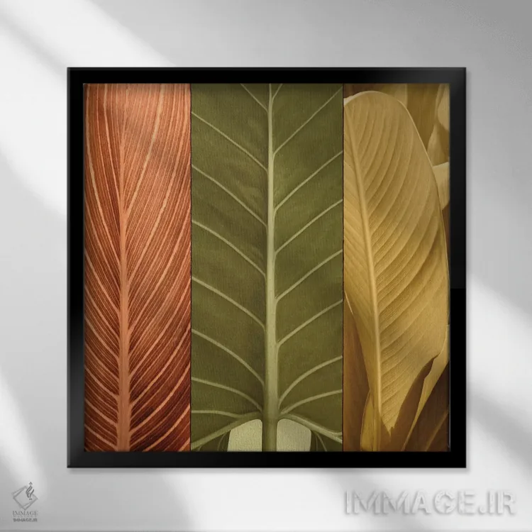 تابلو دکوراتیو سه گانه استوایی I اثر جان سبا - نمای قابدار مشکی