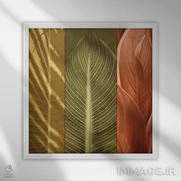 تابلو دکوراتیو سه گانه استوایی II اثر جان سبا - نمای قابدار سفید