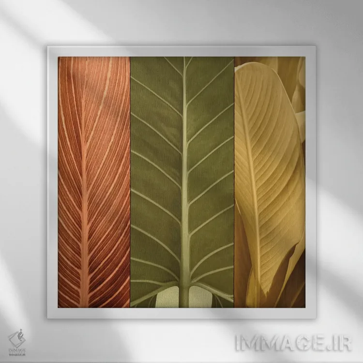 تابلو دکوراتیو سه گانه استوایی I اثر جان سبا - نمای قابدار سفید