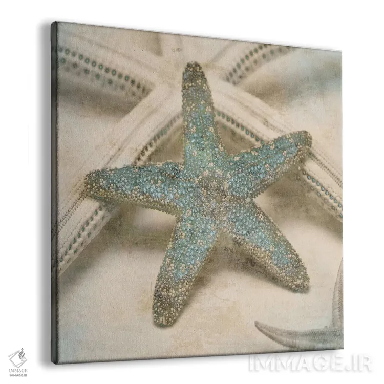 تابلو دکوراتیو جواهرات ساحلی III اثر جان سبا - نمای پرسپکتیو محصول
