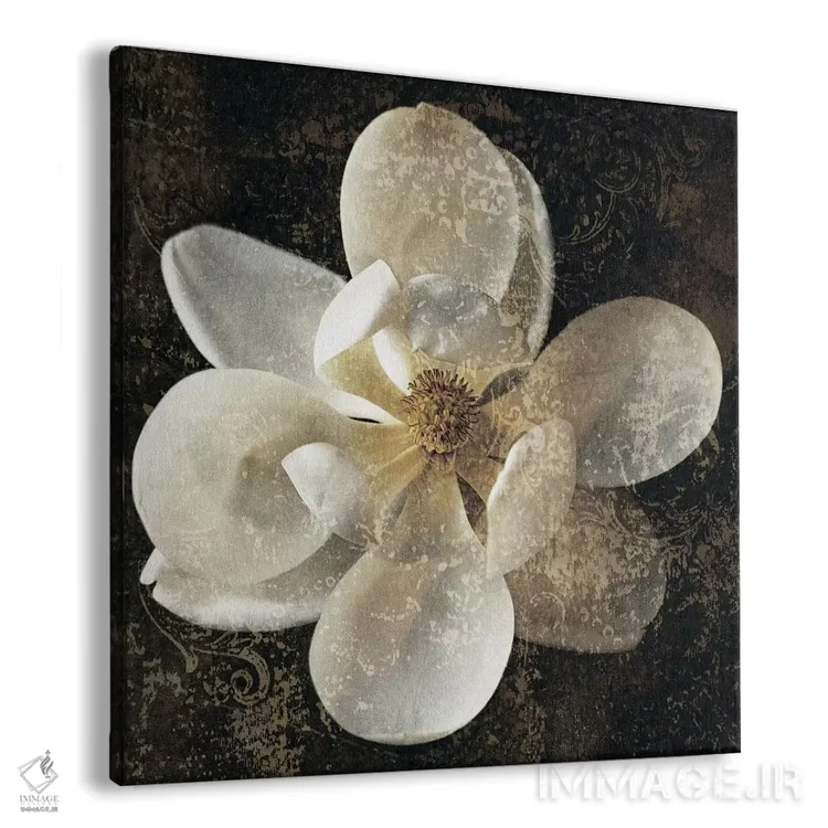 تابلو دکوراتیو مگنولیا I اثر جان سبا - نمای پرسپکتیو محصول