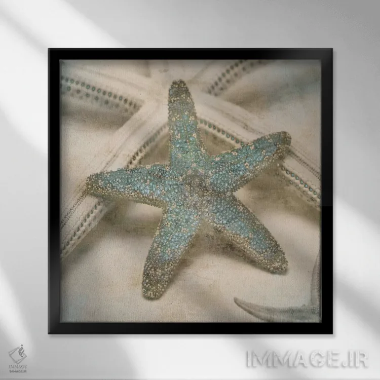 تابلو دکوراتیو جواهرات ساحلی III اثر جان سبا - نمای قابدار مشکی