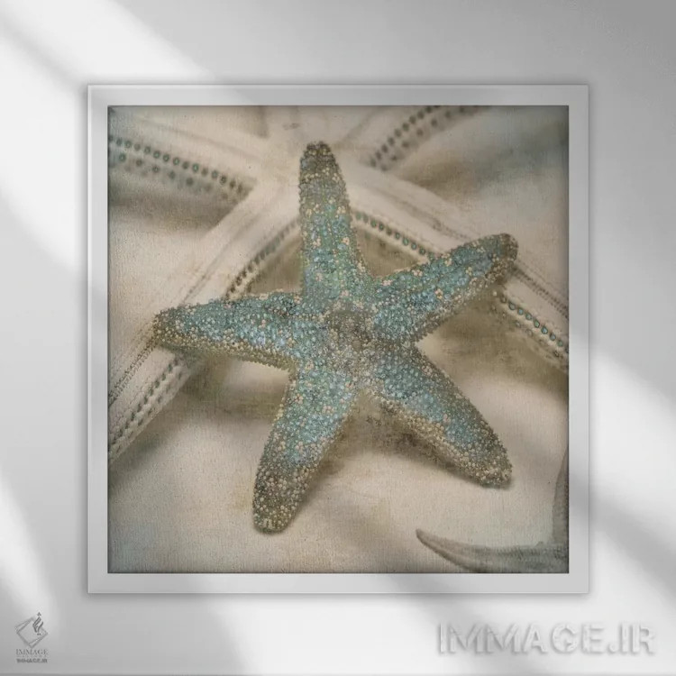 تابلو دکوراتیو جواهرات ساحلی III اثر جان سبا - نمای قابدار سفید