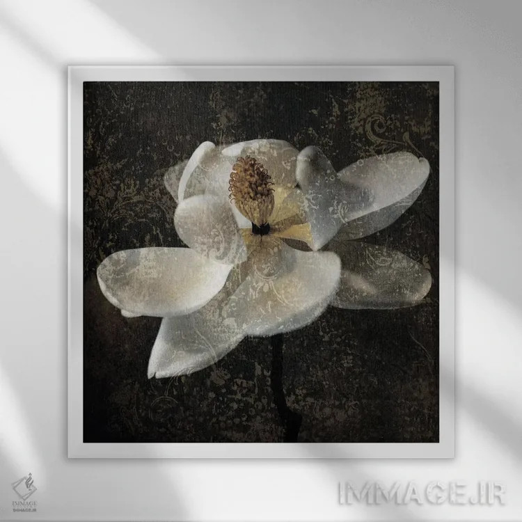 تابلو دکوراتیو مگنولیا II اثر جان سبا - نمای قابدار سفید