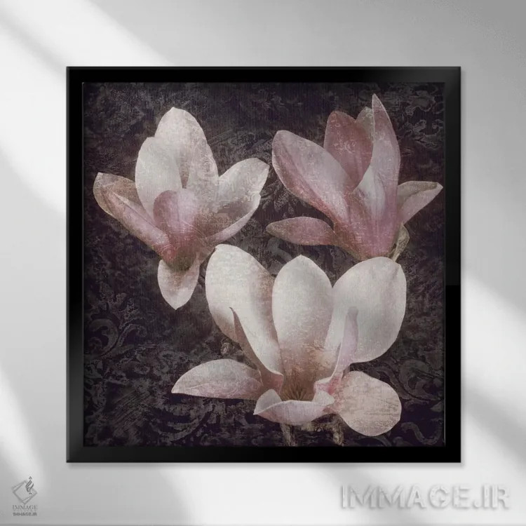 تابلو دکوراتیو مگنولیاهای صورتی II اثر جان سبا - نمای قابدار مشکی