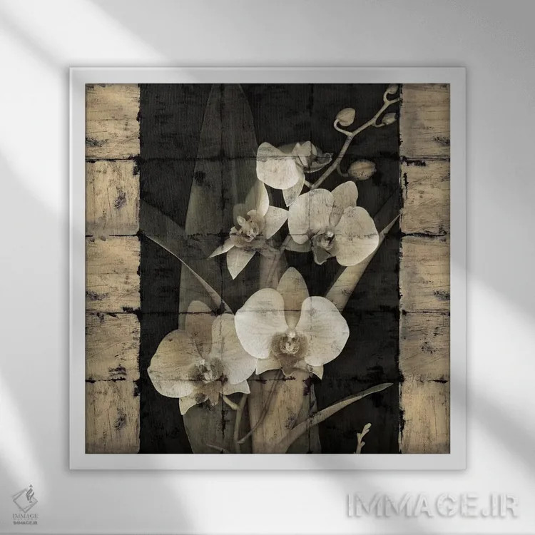 تابلو دکوراتیو شکوفایی ارکیده ها II اثر جان سبا - نمای قابدار سفید