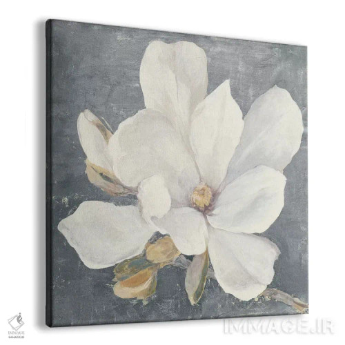 تابلو مدرن ماگنولیای آرامش بخش خاکستری اثر جولیا پورینتون - نمای پرسپکتیو محصول