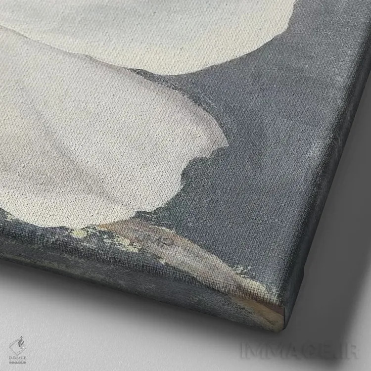 تابلو مدرن ماگنولیای آرامش بخش خاکستری اثر جولیا پورینتون - نمای نزدیک بافت بوم