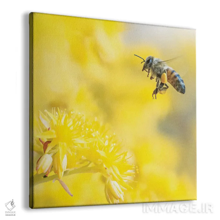 تابلو دکوراتیو زنبورعسل در پرواز میان گل های زرد اثر جفرسون کاستلاری - نمای پرسپکتیو محصول