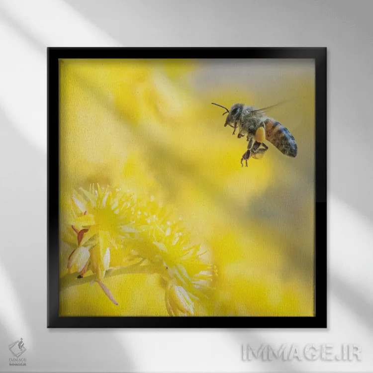 تابلو دکوراتیو زنبورعسل در پرواز میان گل های زرد اثر جفرسون کاستلاری - نمای قابدار مشکی