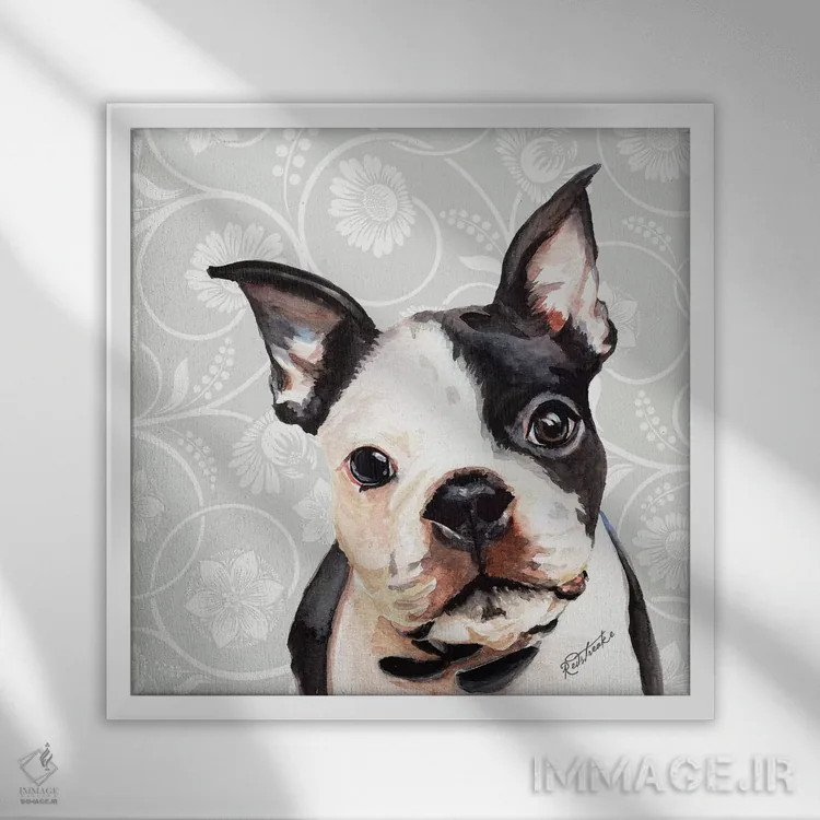 تابلو دکوراتیو بوستون تریر اثر جنیفر رداستریک - نمای قابدار سفید