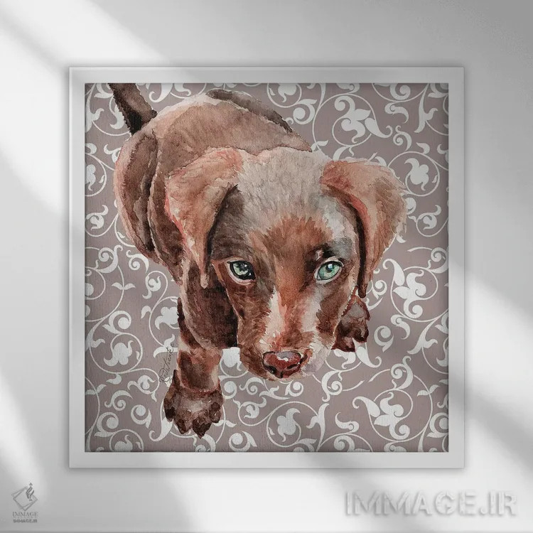 تابلو دکوراتیو توله لابرادور شکلاتی اثر جنیفر رداستریک - نمای قابدار سفید