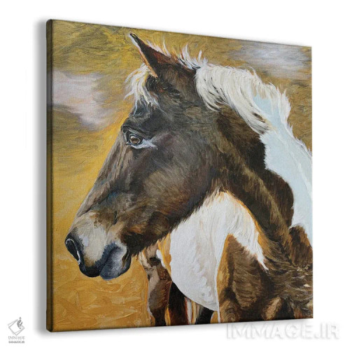 تابلو دکوراتیو کره اسب وحشی II اثر جنیفر رداستریک - نمای پرسپکتیو محصول
