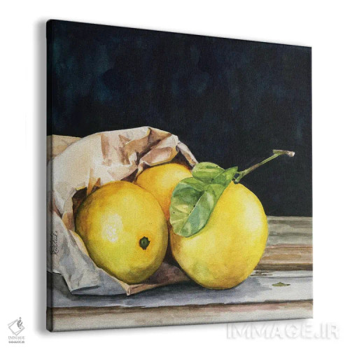 تابلو مدرن کیسه لیمو اثر جنیفر رداستریک - نمای پرسپکتیو محصول