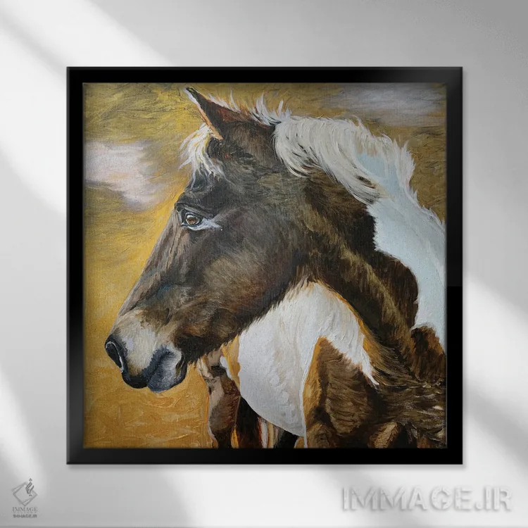 تابلو دکوراتیو کره اسب وحشی II اثر جنیفر رداستریک - نمای قابدار مشکی
