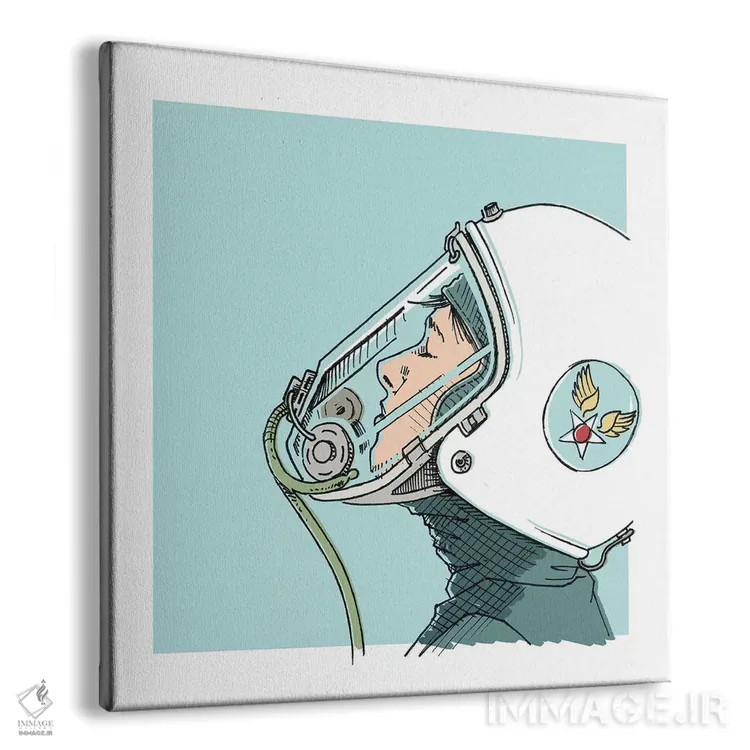 تابلو دکوراتیو خلبان اثر جیسون رتلیف - نمای پرسپکتیو محصول