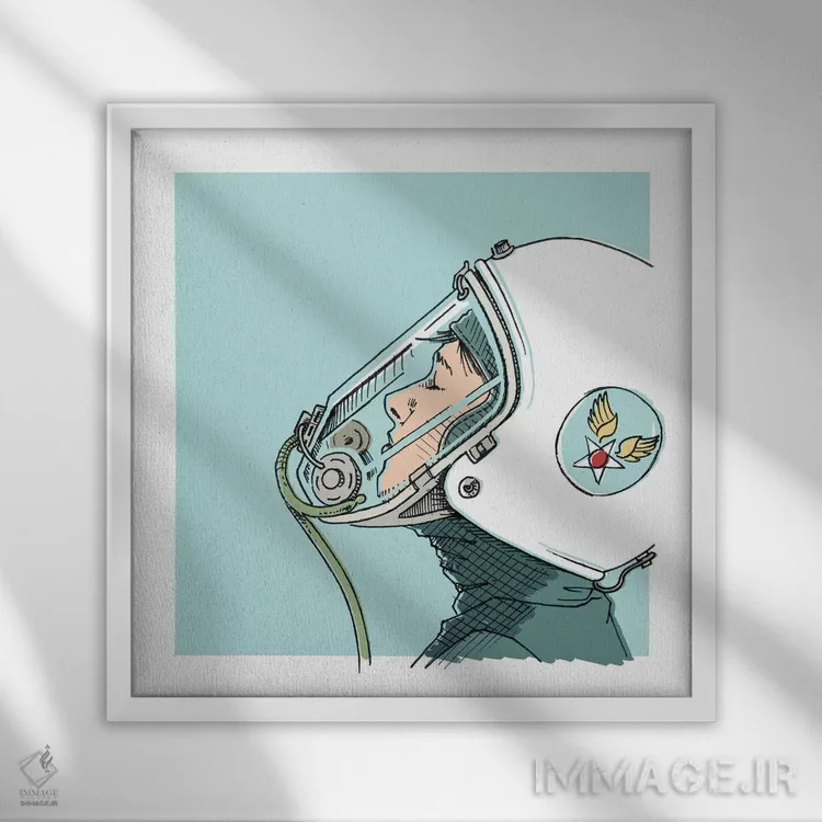 تابلو دکوراتیو خلبان اثر جیسون رتلیف - نمای قابدار سفید