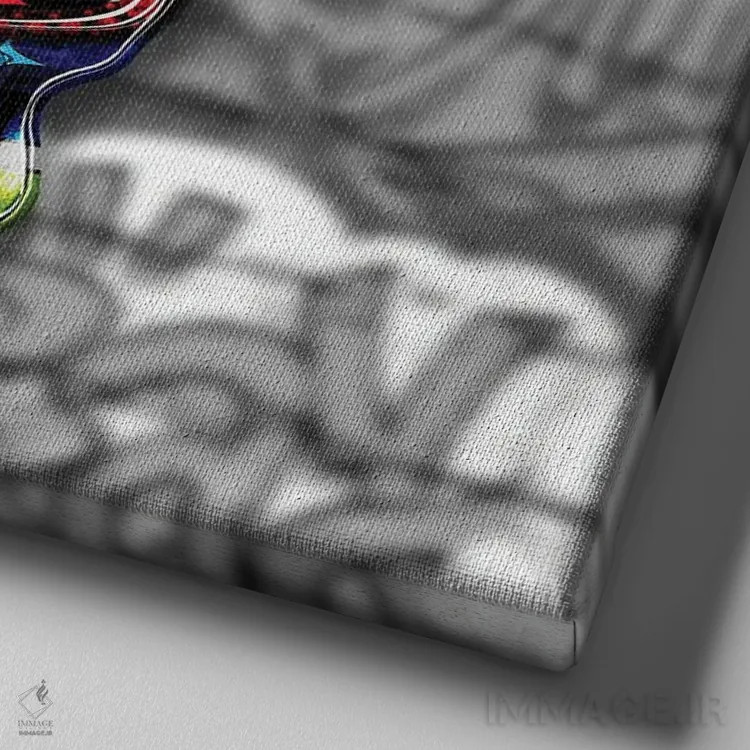 تابلو دکوراتیو پاپ اسکینگ اثر یان رافائل - نمای نزدیک بافت بوم