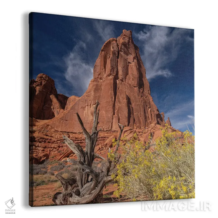 تابلو دکوراتیو پارک ملی آرچز اثر عکاسی جاناتان راس - نمای پرسپکتیو محصول