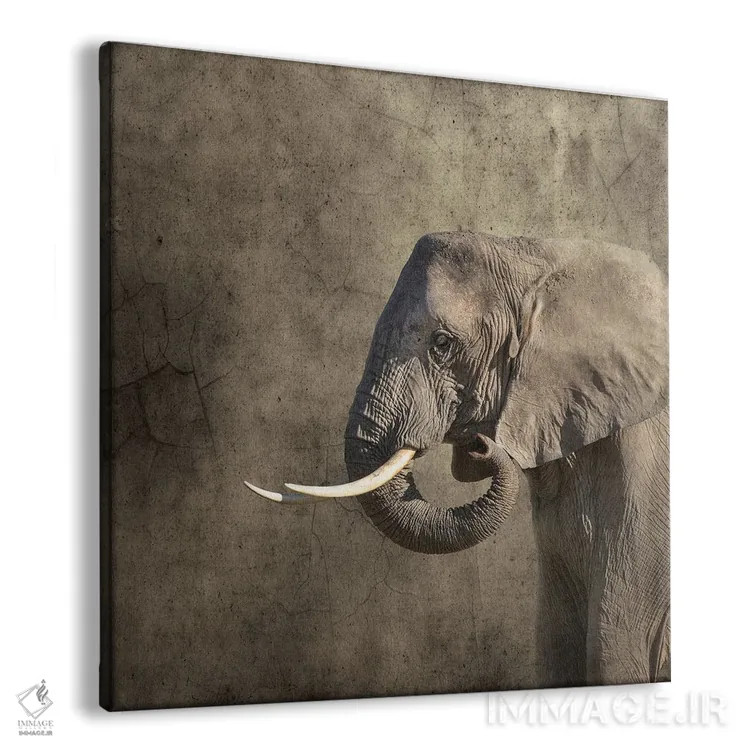تابلو دکوراتیو پرتره فیل اثر جین ریکس - نمای پرسپکتیو محصول