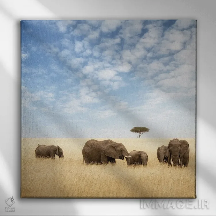 تابلو دکوراتیو گروه فیل ها در چمنزار ماسایی مارا اثر جین ریکس - نمای روبهرو روی دیوار