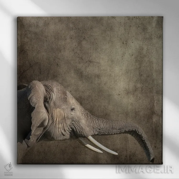 تابلو دکوراتیو Side View,پرتره فیل، نمای جانبی اثر جین ریکس - نمای روبهرو روی دیوار