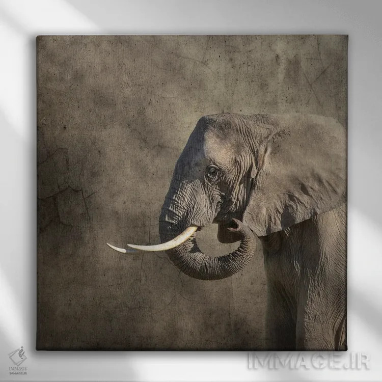 تابلو دکوراتیو پرتره فیل اثر جین ریکس - نمای روبهرو روی دیوار