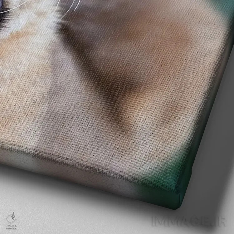 تابلو دکوراتیو Masai Mara,توله شیر خمیازه کش در ماسایی مارا اثر جین ریکس - نمای نزدیک بافت بوم