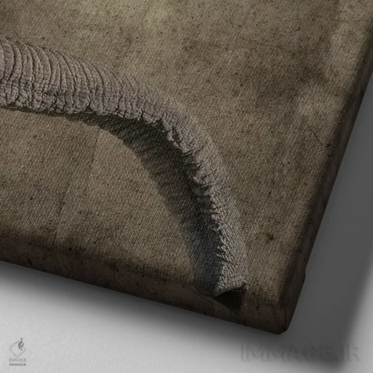 تابلو دکوراتیو Side View,پرتره فیل، نمای جانبی اثر جین ریکس - نمای نزدیک بافت بوم