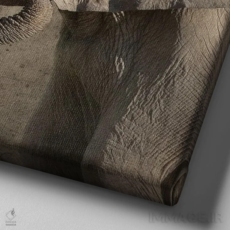 تابلو دکوراتیو پرتره فیل اثر جین ریکس - نمای نزدیک بافت بوم